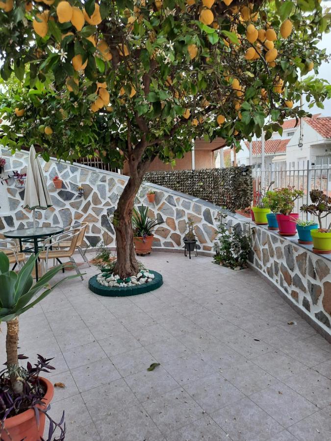 Calle Dr Fleming 3 Bedroom Home 산 하비에르 외부 사진